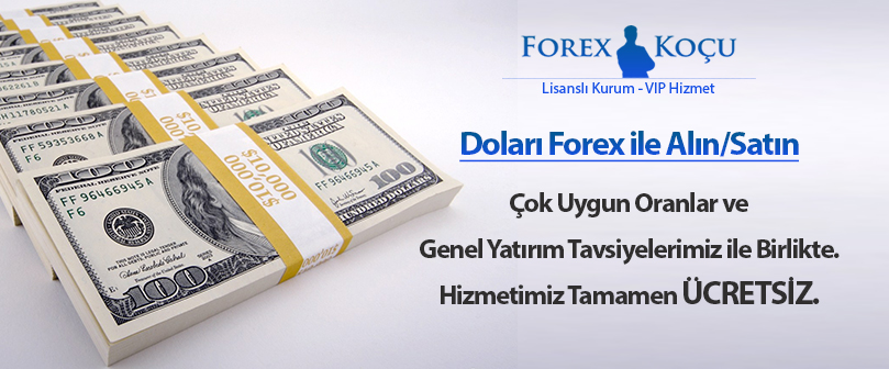 dolarislemleri