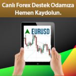 forex-destek-forex-nedir