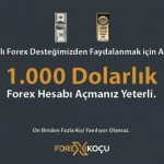 1000-dolar-forex-kocu