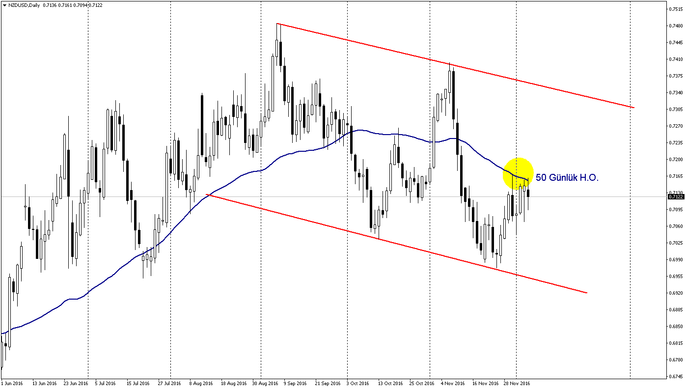 nzdusd-50-gunluk