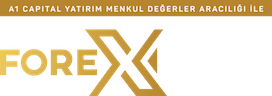 FK Logo Yeni