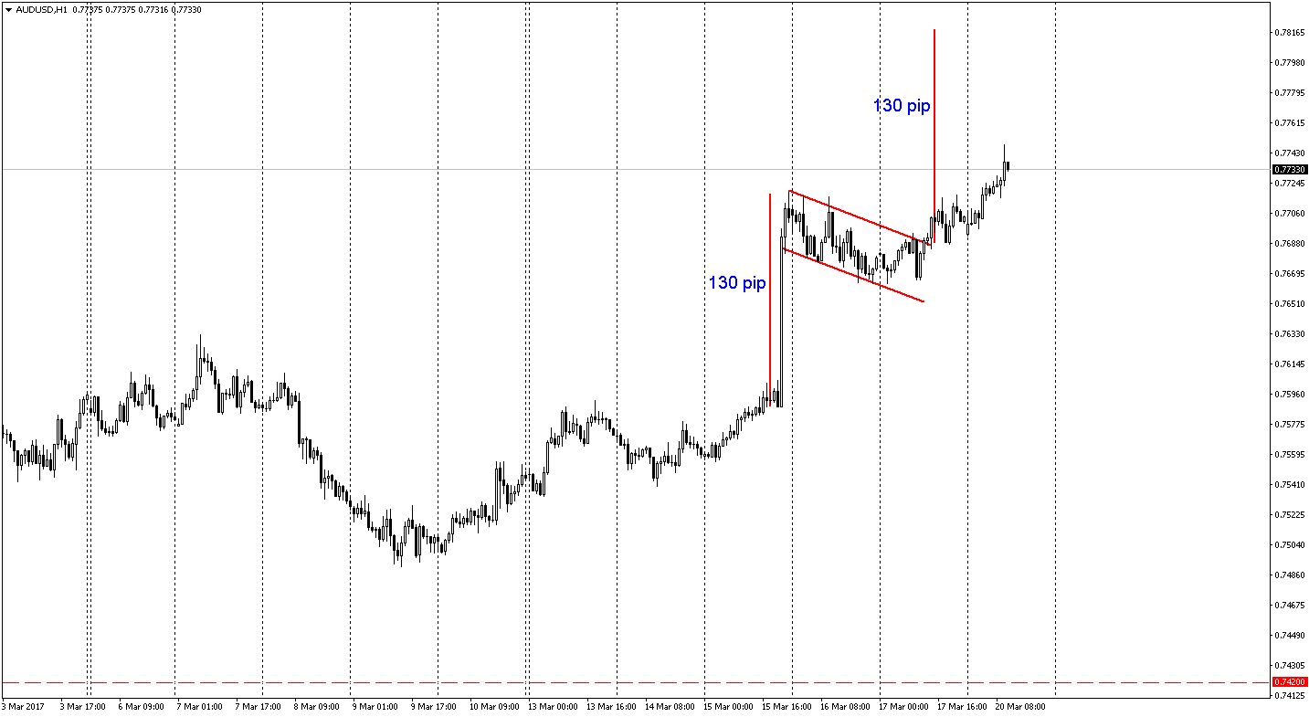 audusd alıcılı bayrak