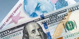 Enflasyon Verisi Sonrası Dolar/TL Sakin…