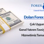 dolarislemleri