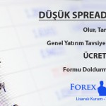 dusukspreadlihesap