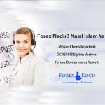 ucretsiz-forex-tanitimi