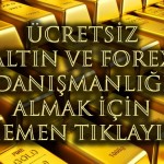 ucretsizdanismanliktiklayin