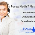 ucretsizforextanitimi